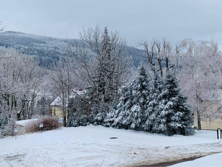 Na Stoku Apartman Świeradów-Zdrój Kültér fotó